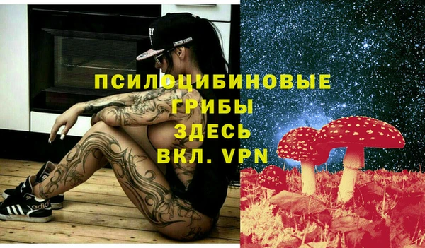 мескалин Медвежьегорск