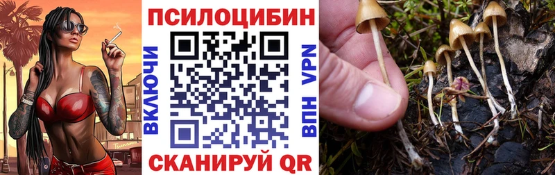 Псилоцибиновые грибы GOLDEN TEACHER  Бологое 